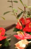 Туры в отель Luyu Narada Resort