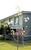 Туры в отель Luyu Narada Resort