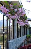 Туры в отель Luyu Narada Resort