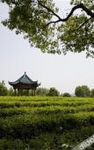 Туры в отель Luyu Narada Resort