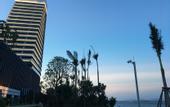 Туры в отель Xiamen Wutong Fliport Hotel