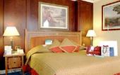 Туры в отель Holiday Inn Mayfair