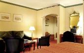 Туры в отель Holiday Inn Mayfair