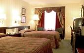 Туры в отель Holiday Inn Mayfair