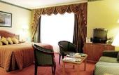 Туры в отель Holiday Inn Mayfair
