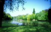 Туры в отель Holiday Inn Mayfair
