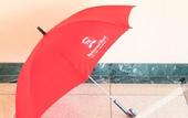 Туры в отель Richmond Hotel Miyazaki Ekimae