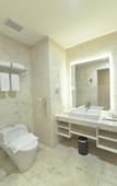 Туры в отель Platinum Balikpapan Hotel & Convention Hall