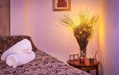 Туры в отель Hotel Cvita