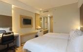 Туры в отель Hotel Horison Tasikmalaya