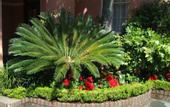 Туры в отель Holiday Inn Mills House