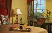 Туры в отель Holiday Inn Mills House