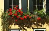 Туры в отель Holiday Inn Mills House