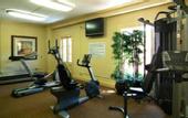 Туры в отель Holiday Inn Mills House