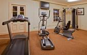 Туры в отель Holiday Inn Mills House