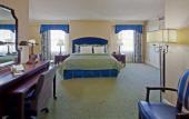 Туры в отель Holiday Inn Mills House