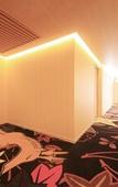 Туры в отель Meander Osaka