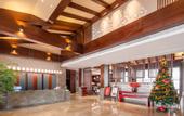 Туры в отель Begonia Hotel