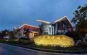 Туры в отель Begonia Hotel