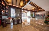 Туры в отель Begonia Hotel