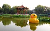 Туры в отель Beijing Dahongmen International Convention and Exhibition Center