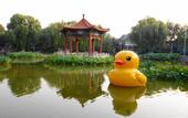 Туры в отель Beijing Dahongmen International Convention and Exhibition Center
