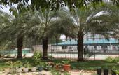 Туры в отель Hotel Al Madinah Holiday