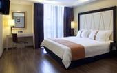 Туры в отель Holiday Inn Nicosia City Center