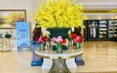 Туры в отель Vienna Hotel (Xinxiang DL Fat Donglai Sanpang Store)