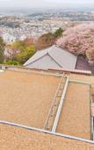 Туры в отель Mikasa Ryokan