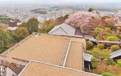 Туры в отель Mikasa Ryokan