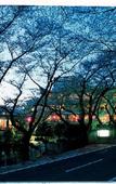 Туры в отель Mikasa Ryokan
