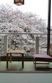 Туры в отель Mikasa Ryokan