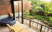 Туры в отель Mikasa Ryokan