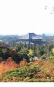 Туры в отель Mikasa Ryokan