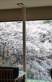 Туры в отель Mikasa Ryokan