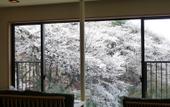 Туры в отель Mikasa Ryokan