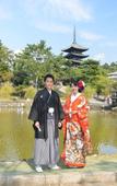 Туры в отель Mikasa Ryokan