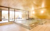 Туры в отель Mikasa Ryokan