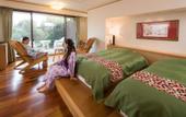 Туры в отель Mikasa Ryokan