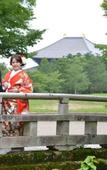 Туры в отель Mikasa Ryokan