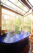 Туры в отель Mikasa Ryokan
