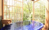 Туры в отель Mikasa Ryokan