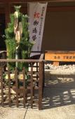 Туры в отель Mikasa Ryokan
