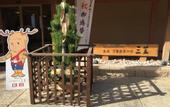 Туры в отель Mikasa Ryokan