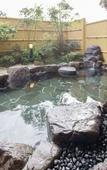Туры в отель Mikasa Ryokan
