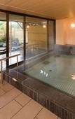 Туры в отель Mikasa Ryokan