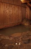 Туры в отель Hakone Onsen Yuyado Yamanoshou