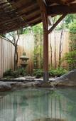 Туры в отель Hakone Onsen Yuyado Yamanoshou