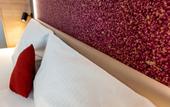 Туры в отель Hotel Landgasthaus Standenhof